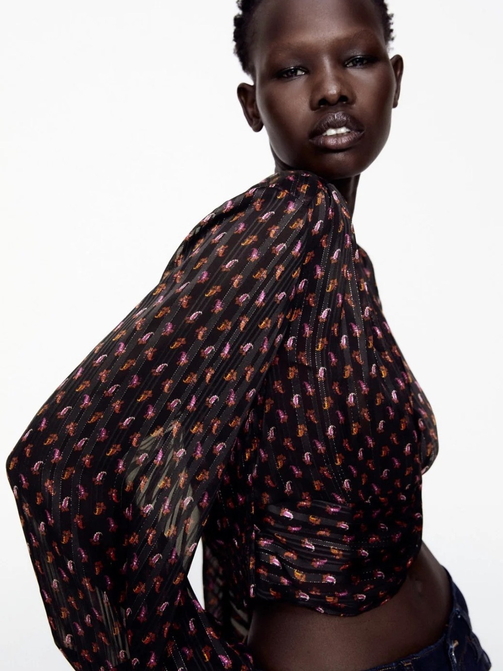 Zara Printed Long Sleeve Crop Top